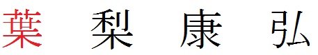 議員氏名の正確な表記